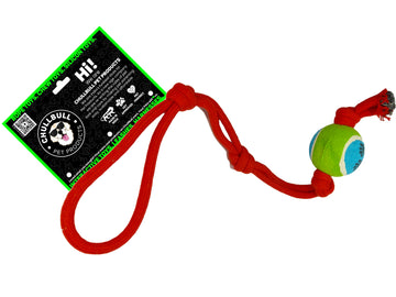 Slingshot TugToy